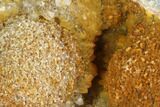 Limonite Quartz Crystal Cluster On Wood Base - Uruguay #100316-4